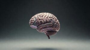 Datos curiosos sobre el cerebro